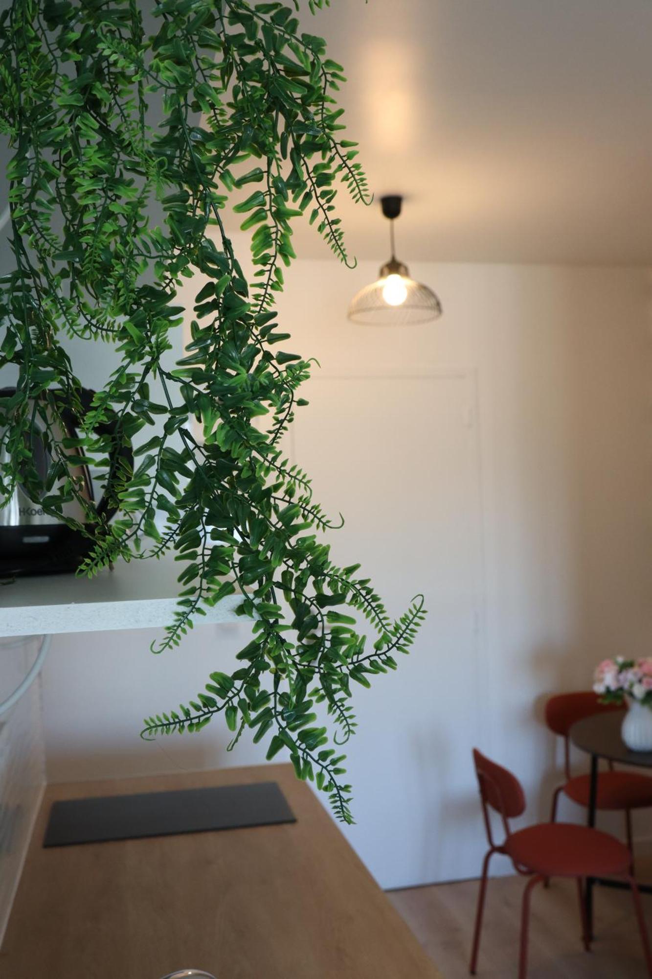 Lp - 4 Saisons Apartment Annecy Bagian luar foto